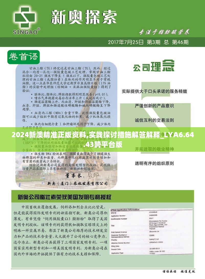 2024新澳精准正版资料,揭秘2024新澳精准正版资料，探索背后的秘密与意义