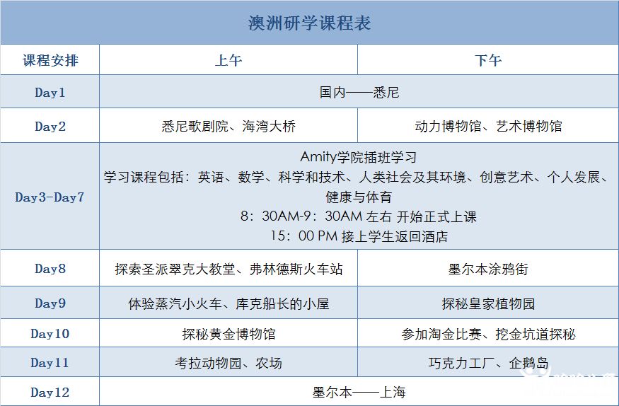 新澳开奖记录今天结果,新澳开奖记录今天结果，探索彩票背后的魅力与挑战