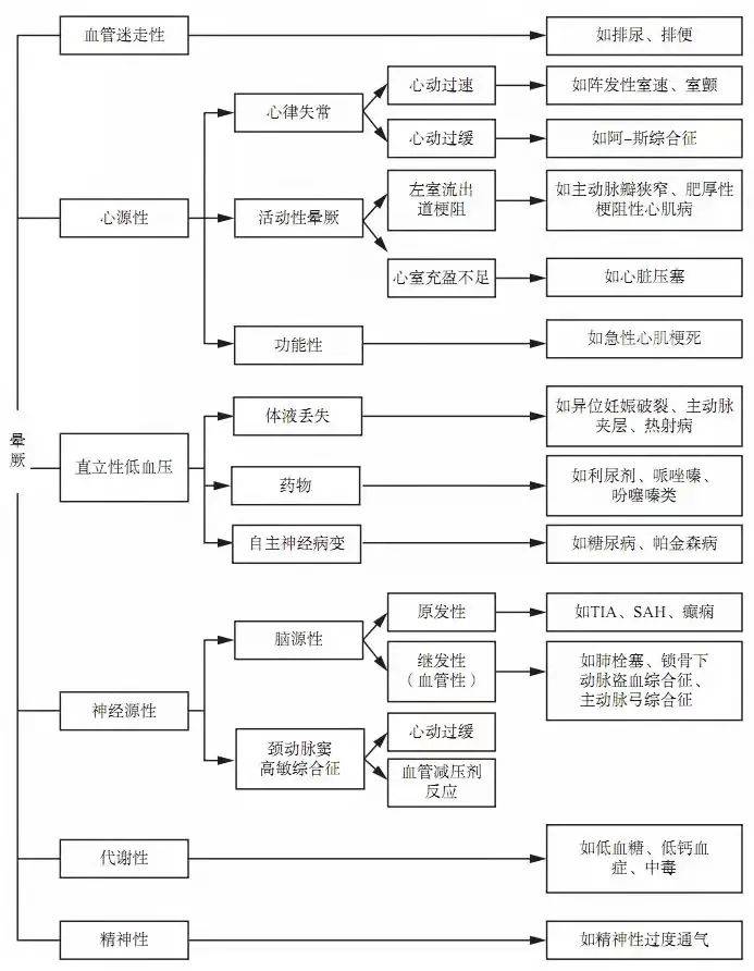 澳门100%最准一肖,澳门100%最准一肖，揭秘背后的秘密与真相探索