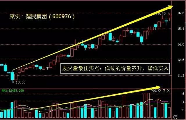 香港今晚开特马 开奖结果66期,香港今晚开特马，第66期开奖结果深度解析