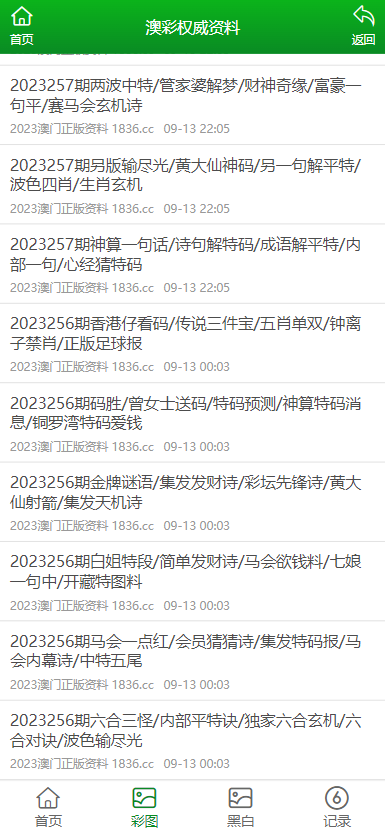 2023澳门正版全年免费资料,澳门正版全年免费资料，探索2023年的无限可能