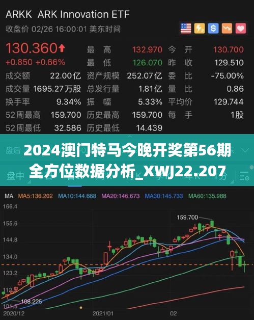 2025特马今晚开奖,2025特马今晚开奖——期待与激情的交汇点